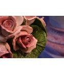 Riser Pink Roses