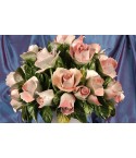 Riser Pink Roses