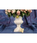 Riser Pink Roses