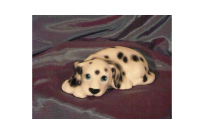 Dalmata