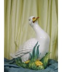 Duck White High Neck