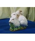 Couple White Rabbits