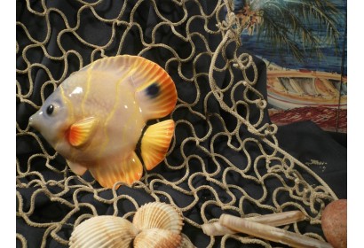 Pesce Farfalla