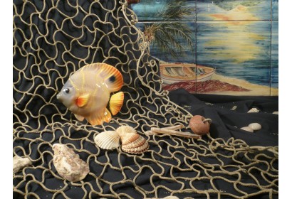 Pesce Farfalla