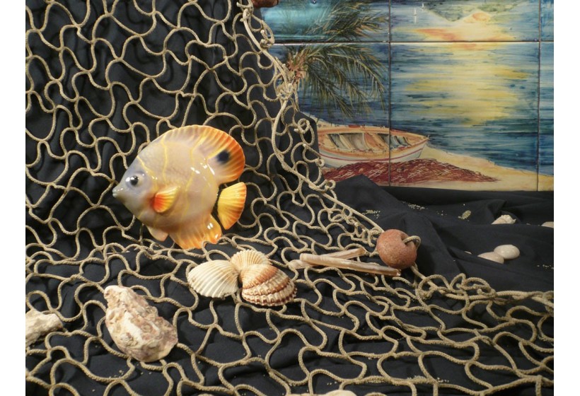 Pesce Farfalla