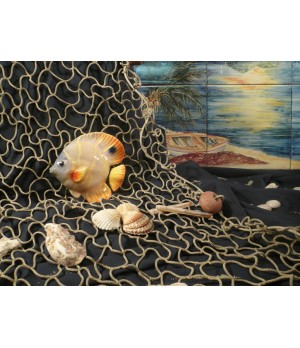 Pesce Farfalla