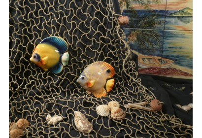 Pesce Farfalla