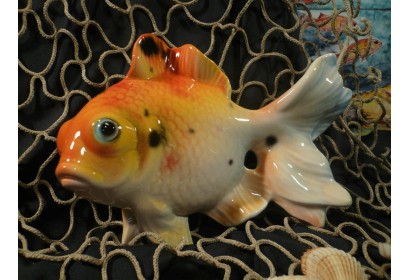 Pesce Gold Fish