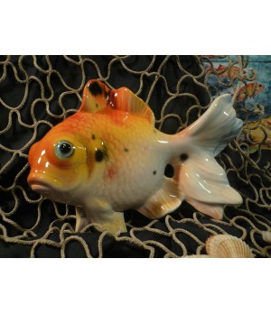 Pesce Gold Fish