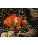 Pesce Pagliaccio "Nemo"