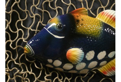 Pesce Balestra Blu