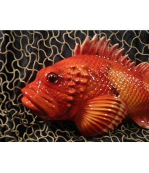 Pesce Scorfano Rosso